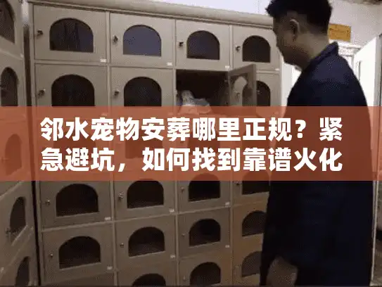 邻水宠物安葬哪里正规？紧急避坑，如何找到靠谱火化机构与告别仪式
