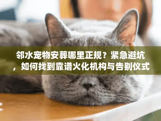 邻水宠物安葬哪里正规？紧急避坑，如何找到靠谱火化机构与告别仪式