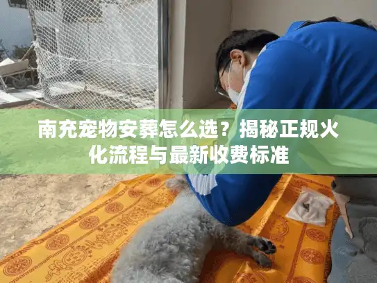 南充宠物安葬怎么选？揭秘正规火化流程与最新收费标准