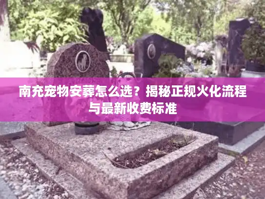 南充宠物安葬怎么选？揭秘正规火化流程与最新收费标准