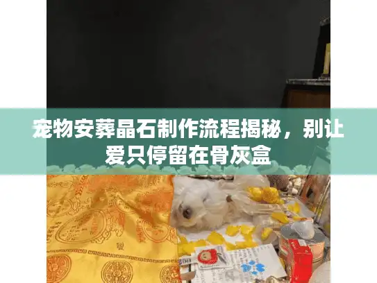 宠物安葬晶石制作流程揭秘，别让爱只停留在骨灰盒