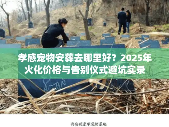 孝感宠物安葬去哪里好？2025年火化价格与告别仪式避坑实录