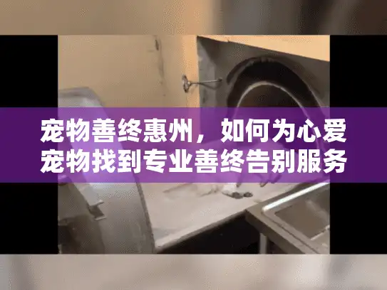 宠物善终惠州，如何为心爱宠物找到专业善终告别服务？