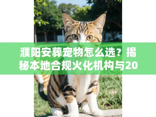 濮阳安葬宠物怎么选？揭秘本地合规火化机构与2025收费明细