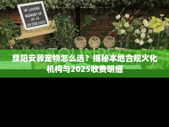 濮阳安葬宠物怎么选？揭秘本地合规火化机构与2025收费明细