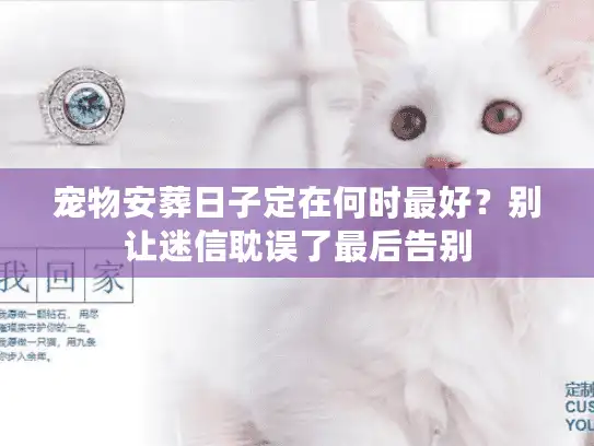 宠物安葬日子定在何时最好？别让迷信耽误了最后告别
