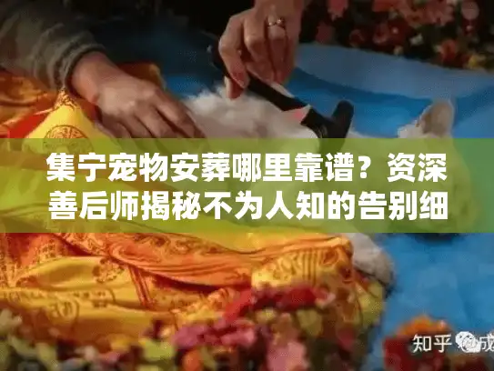 集宁宠物安葬哪里靠谱？资深善后师揭秘不为人知的告别细节