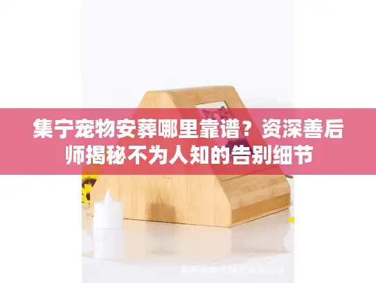集宁宠物安葬哪里靠谱？资深善后师揭秘不为人知的告别细节