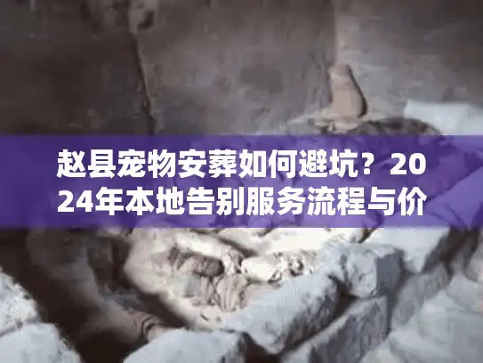 赵县宠物安葬如何避坑？2024年本地告别服务流程与价格内幕