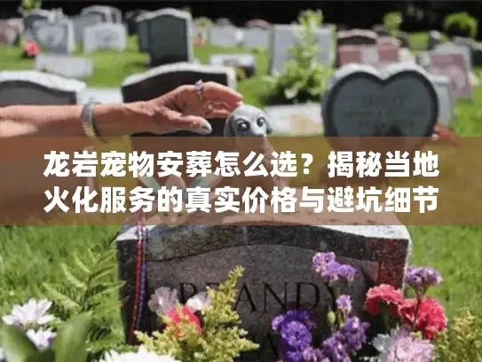 龙岩宠物安葬怎么选？揭秘当地火化服务的真实价格与避坑细节