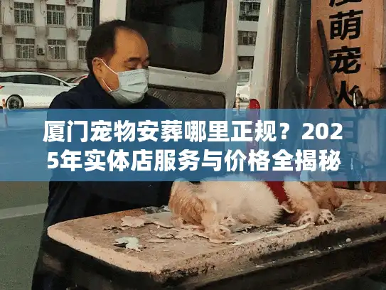 厦门宠物安葬哪里正规？2025年实体店服务与价格全揭秘