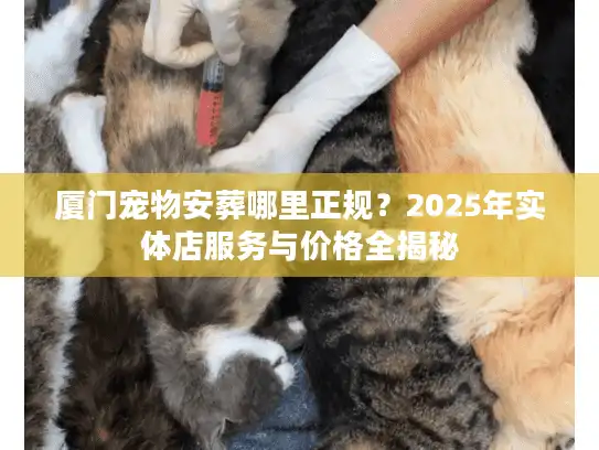 厦门宠物安葬哪里正规？2025年实体店服务与价格全揭秘