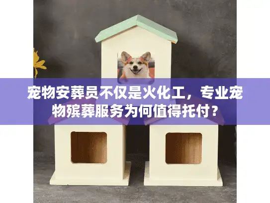 宠物安葬员不仅是火化工，专业宠物殡葬服务为何值得托付？