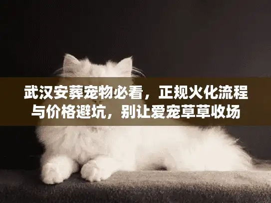武汉安葬宠物必看，正规火化流程与价格避坑，别让爱宠草草收场