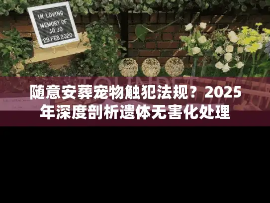 随意安葬宠物触犯法规？2025年深度剖析遗体无害化处理