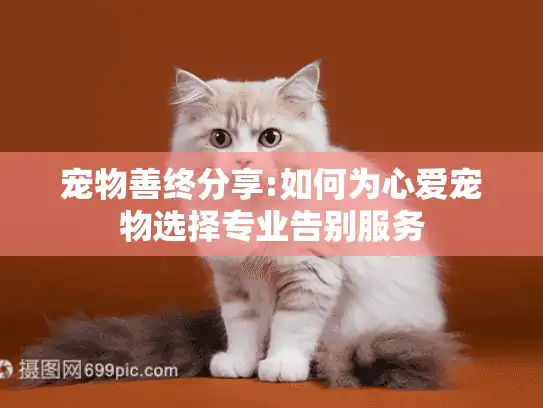 宠物善终分享:如何为心爱宠物选择专业告别服务