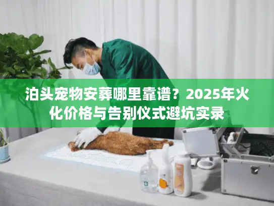 泊头宠物安葬哪里靠谱？2025年火化价格与告别仪式避坑实录