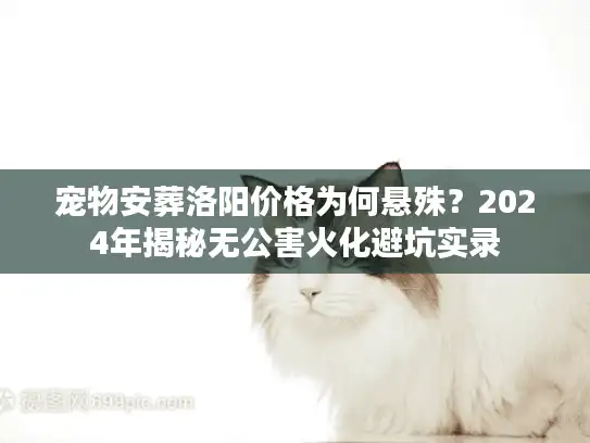 宠物安葬洛阳价格为何悬殊？2024年揭秘无公害火化避坑实录