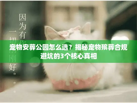 宠物安葬公园怎么选？揭秘宠物殡葬合规避坑的3个核心真相