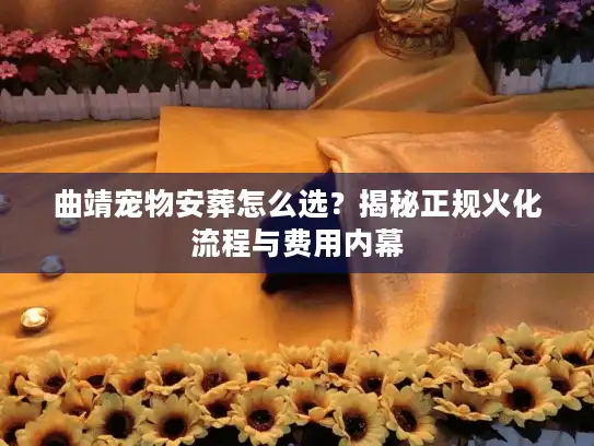 曲靖宠物安葬怎么选？揭秘正规火化流程与费用内幕