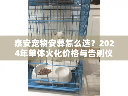 泰安宠物安葬怎么选？2024年单体火化价格与告别仪式全揭秘