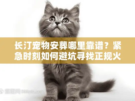 长汀宠物安葬哪里靠谱？紧急时刻如何避坑寻找正规火化服务
