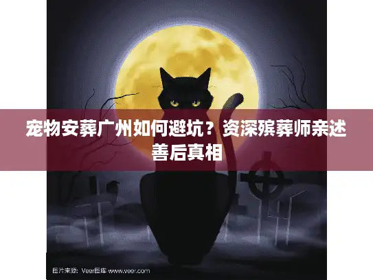 宠物安葬广州如何避坑？资深殡葬师亲述善后真相