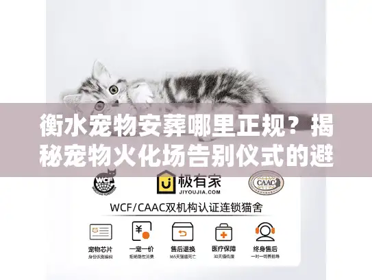 衡水宠物安葬哪里正规？揭秘宠物火化场告别仪式的避坑细节