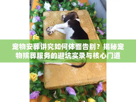 宠物安葬讲究如何体面告别？揭秘宠物殡葬服务的避坑实录与核心门道