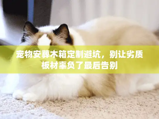 宠物安葬木箱定制避坑，别让劣质板材辜负了最后告别