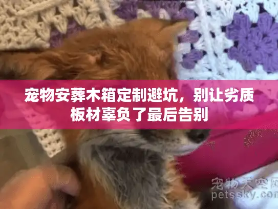 宠物安葬木箱定制避坑，别让劣质板材辜负了最后告别