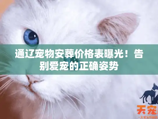 通辽宠物安葬价格表曝光！告别爱宠的正确姿势
