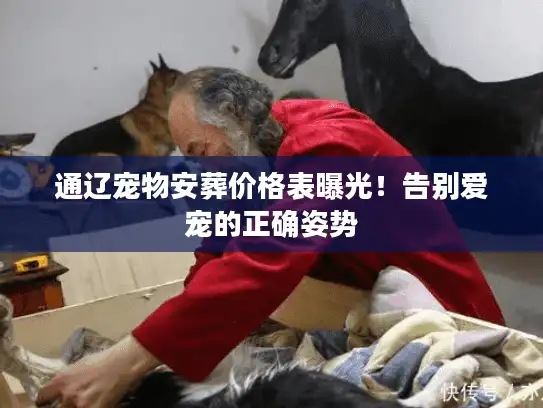 通辽宠物安葬价格表曝光！告别爱宠的正确姿势