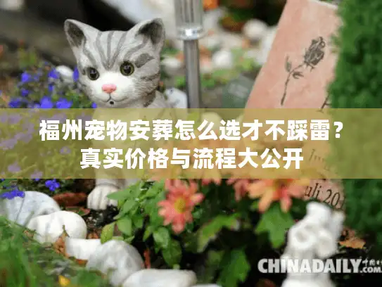 福州宠物安葬怎么选才不踩雷？真实价格与流程大公开