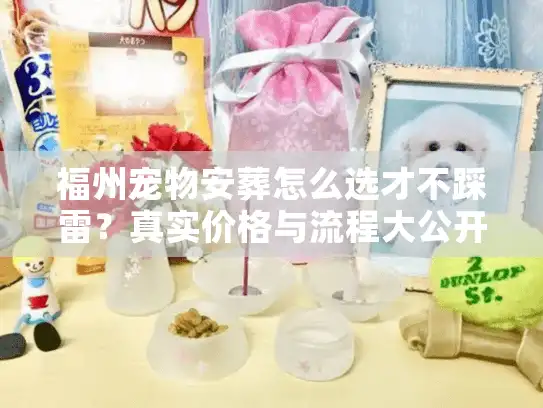 福州宠物安葬怎么选才不踩雷？真实价格与流程大公开