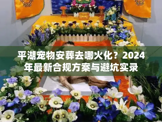 平湖宠物安葬去哪火化？2024年最新合规方案与避坑实录