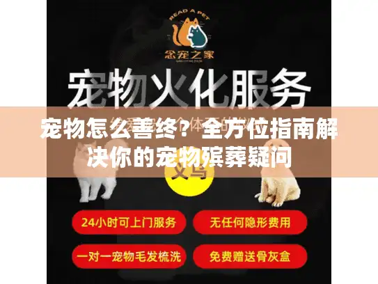 宠物怎么善终？全方位指南解决你的宠物殡葬疑问