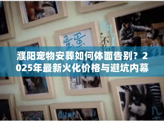 濮阳宠物安葬如何体面告别？2025年最新火化价格与避坑内幕