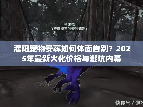 濮阳宠物安葬如何体面告别？2025年最新火化价格与避坑内幕