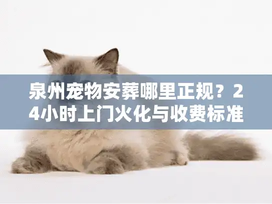 泉州宠物安葬哪里正规？24小时上门火化与收费标准揭秘