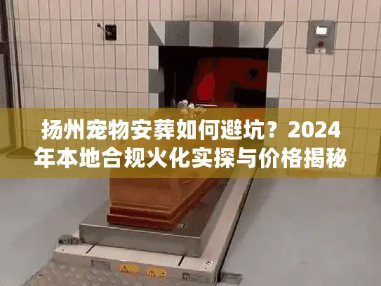 扬州宠物安葬如何避坑？2024年本地合规火化实探与价格揭秘