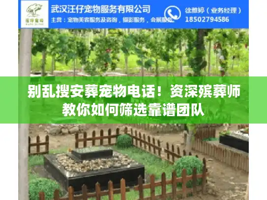 别乱搜安葬宠物电话！资深殡葬师教你如何筛选靠谱团队