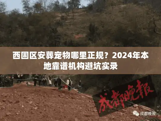 西固区安葬宠物哪里正规？2024年本地靠谱机构避坑实录