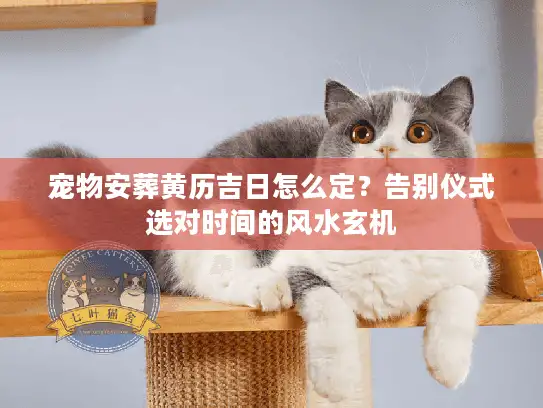 宠物安葬黄历吉日怎么定？告别仪式选对时间的风水玄机
