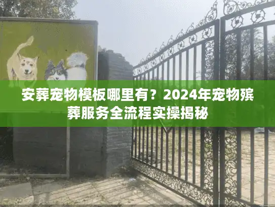 安葬宠物模板哪里有？2024年宠物殡葬服务全流程实操揭秘