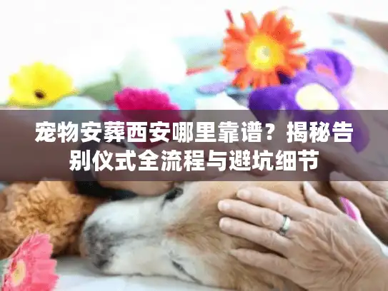 宠物安葬西安哪里靠谱？揭秘告别仪式全流程与避坑细节