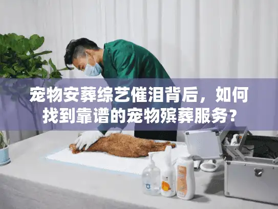 宠物安葬综艺催泪背后，如何找到靠谱的宠物殡葬服务？