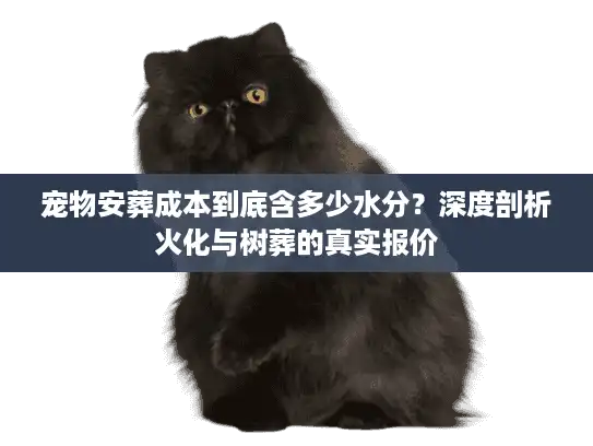 宠物安葬成本到底含多少水分？深度剖析火化与树葬的真实报价