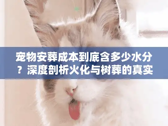 宠物安葬成本到底含多少水分？深度剖析火化与树葬的真实报价