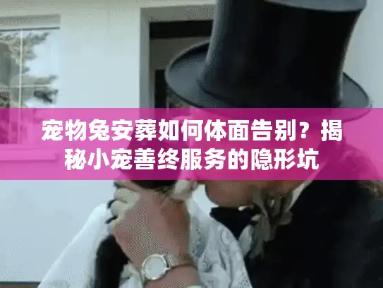 宠物兔安葬如何体面告别？揭秘小宠善终服务的隐形坑